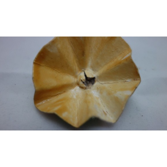 Paper Mache Clown Figurine with Umbrella - Creepy - Take a look - Halloween - Picture 7 of 8